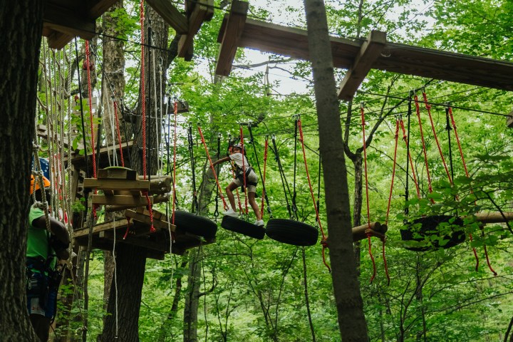 Person crossing a high ropes course in a forest with harness.
