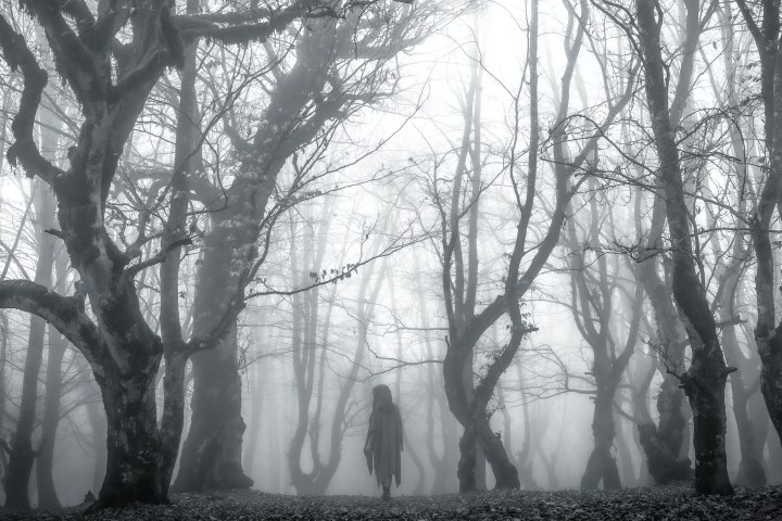 Eerie forest scene with bare trees and a cloaked figure in fog.