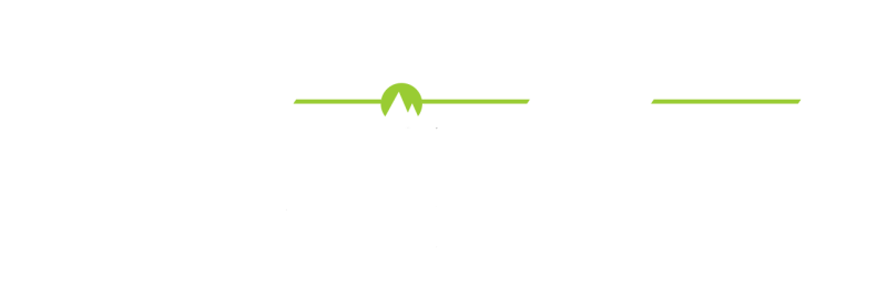 NY zipline logo with green and white text on a green background.