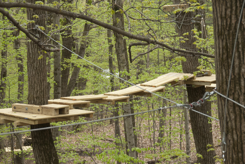 Treetop Zipline in Schenectady, NY Passes | NYzipline