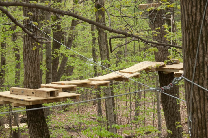 Wooden bridge in forest with trees and ropes.