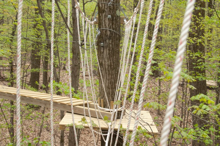 Wooden platforms connected by ropes in a green forested area.
