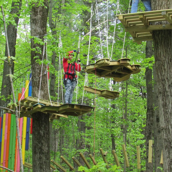 Person in red jacket navigating a treetop ropes course in a forest.