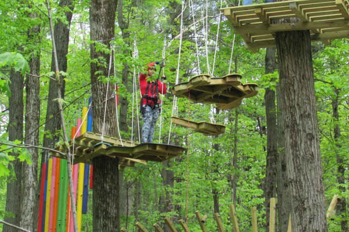 Person in red jacket navigating a treetop ropes course in a forest.