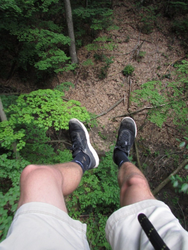 View of legs in shorts and sneakers dangling above a forested area.